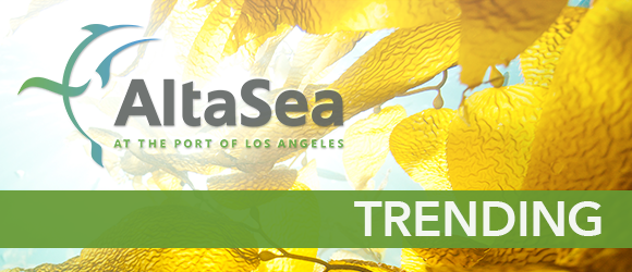 AltaSea_Trending_Masthead